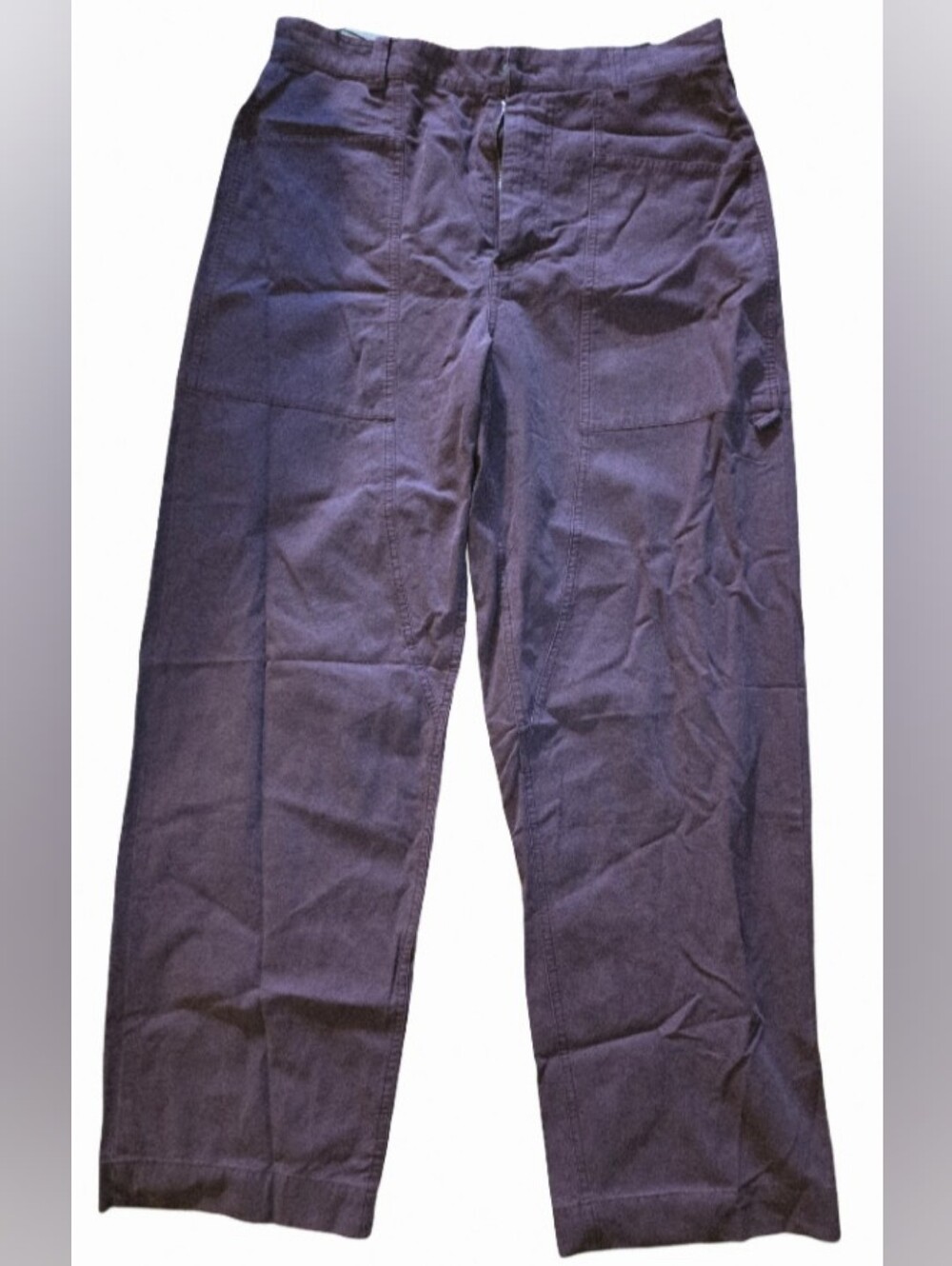 Zara Maroon Cargo/Workwear Pants Straight Leg | Size 32 | NWT